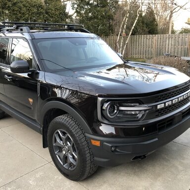 Show me your dogs!! | 2021+ Ford Bronco Sport Forum - Broncosportforum.com